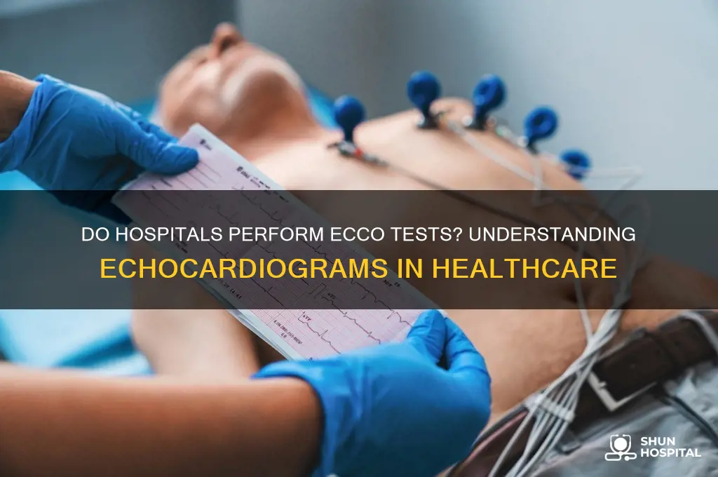 do hospitals perform ecco test