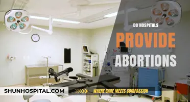 Do Hospitals Offer Abortion Services? Understanding Access and Availability