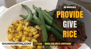 Do Hospitals Serve Rice? Exploring Meal Options in Healthcare Facilities