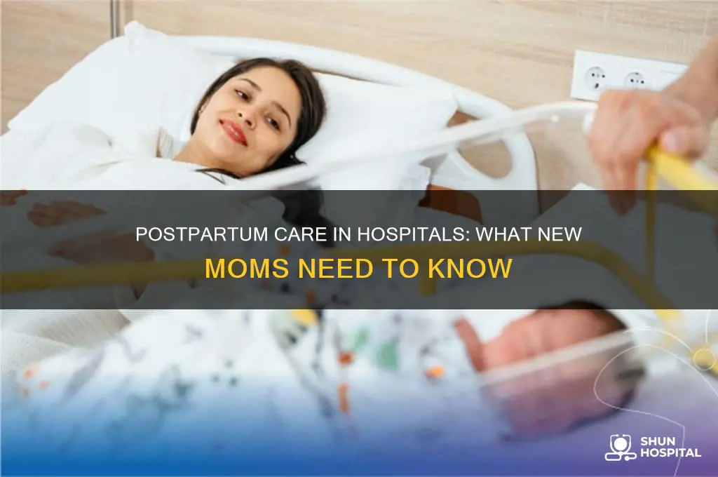 do hospitals provide postpartum care