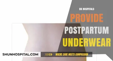 Postpartum Comfort: Do Hospitals Provide Special Underwear for New Moms?