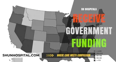 Do Hospitals Get Government Funding? Exploring Public Financial Support