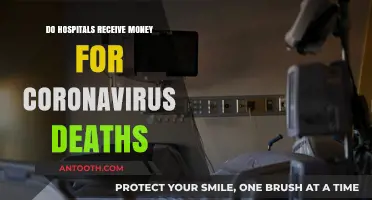 Hospitals and Coronavirus Deaths: Is There a Financial Incentive?