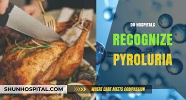 Pyroluria Recognition: Do Hospitals Acknowledge This Hidden Health Condition?