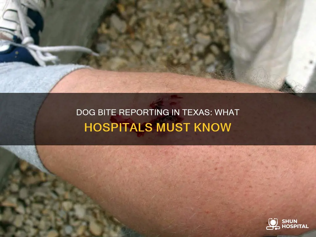 do hospitals report dog bites in texas
