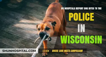 Wisconsin Dog Bite Reporting: Do Hospitals Notify Police?