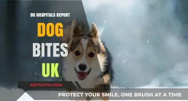 Do Hospitals in the UK Report Dog Bites? A Comprehensive Look