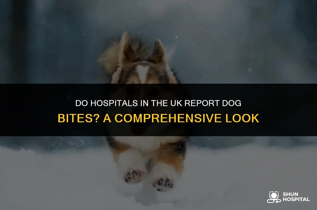do hospitals report dog bites uk