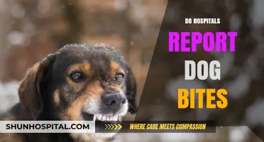 Do Hospitals Report Dog Bites? Understanding Legal and Medical Protocols