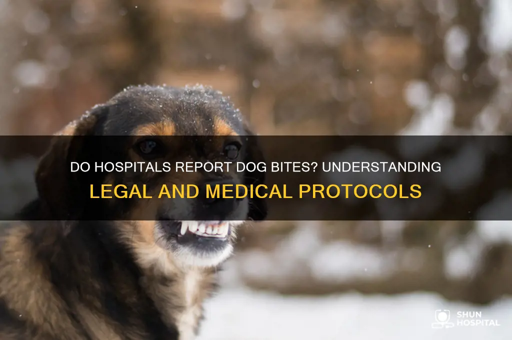 do hospitals report dog bites