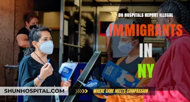 Hospitals and Illegal Immigrants: Reporting in New York