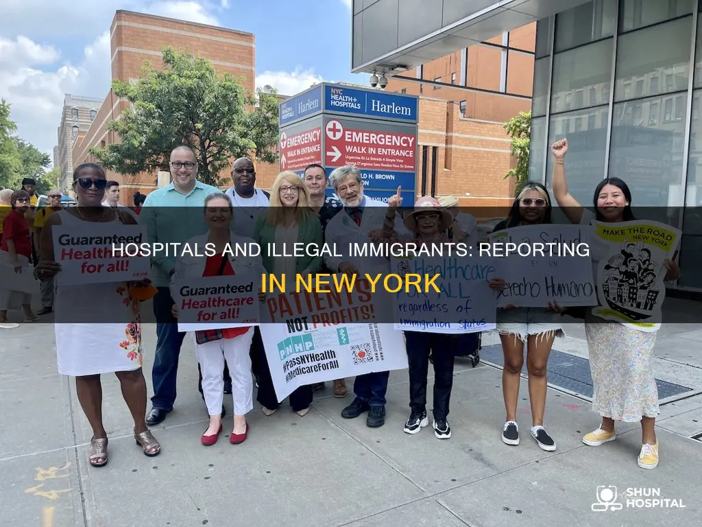 do hospitals report illegal immigrants in ny