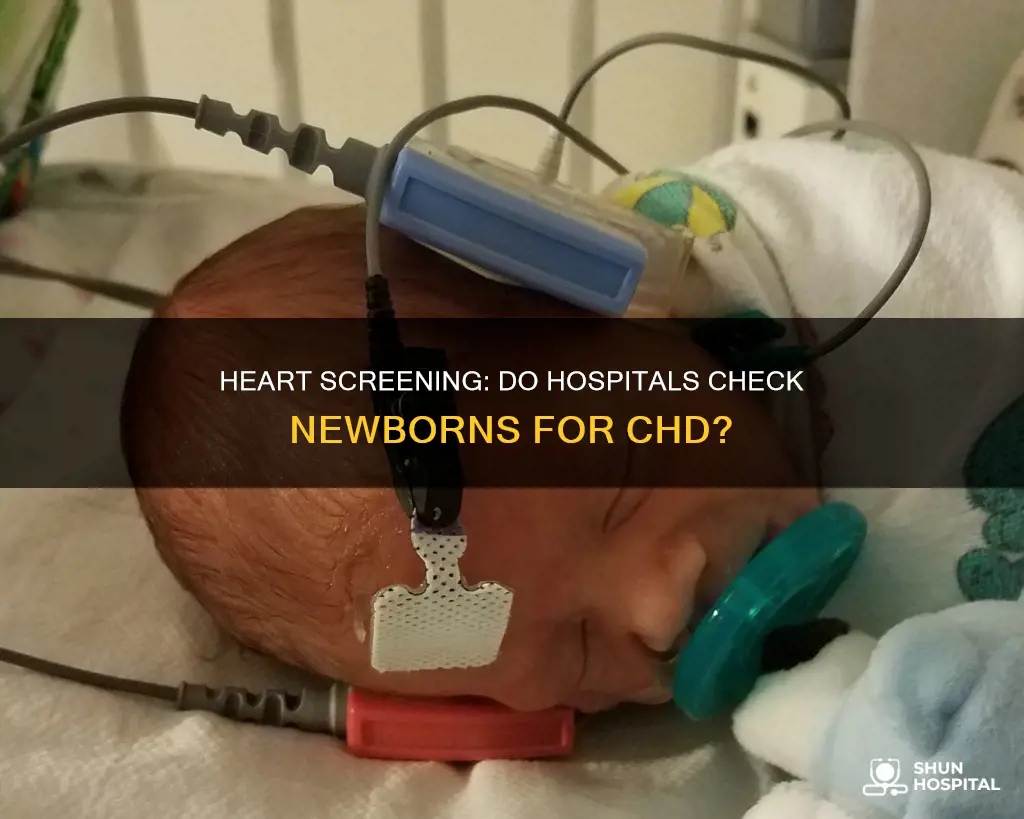 do hospitals screen for chd at birth