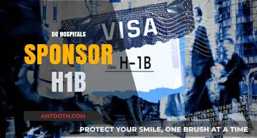 Do Hospitals Sponsor H1B Visas? Exploring Healthcare Immigration Trends