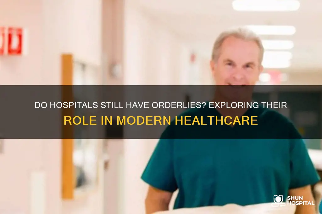do hospitals still have orderlies