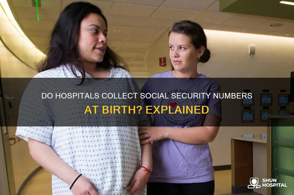 do hospitals submit for social security numbers on births