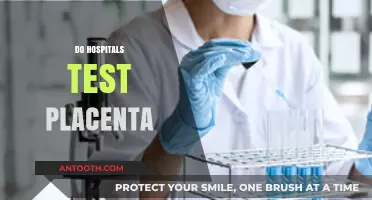 Do Hospitals Test the Placenta After Birth? What You Need to Know