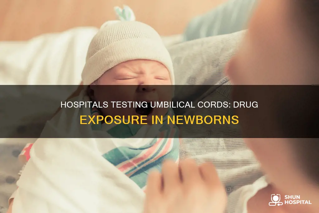 do hospitals test umbilical cords for drugs