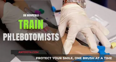 Do Hospitals Train Phlebotomists? Exploring Certification and Education Paths