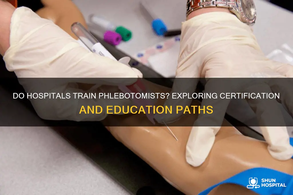 do hospitals train phlebotomists