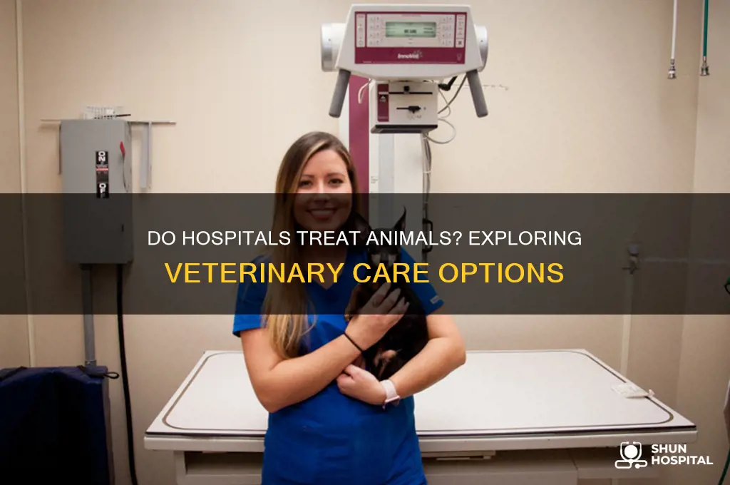 do hospitals treat animals