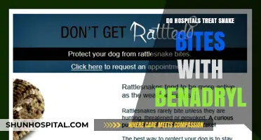 Benadryl for Snake Bites: Hospital Treatment Options