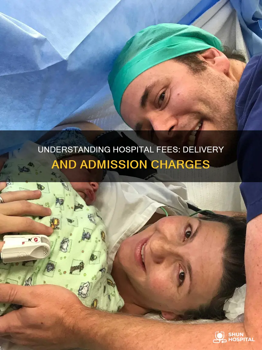 do hospitas charge delivery and hospital fees