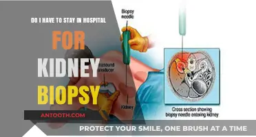 Kidney Biopsy Hospital Stay: What to Expect and Plan For