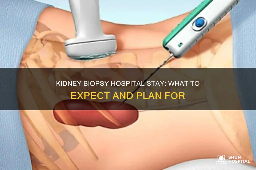 do i have to stay in hospital for kidney biopsy