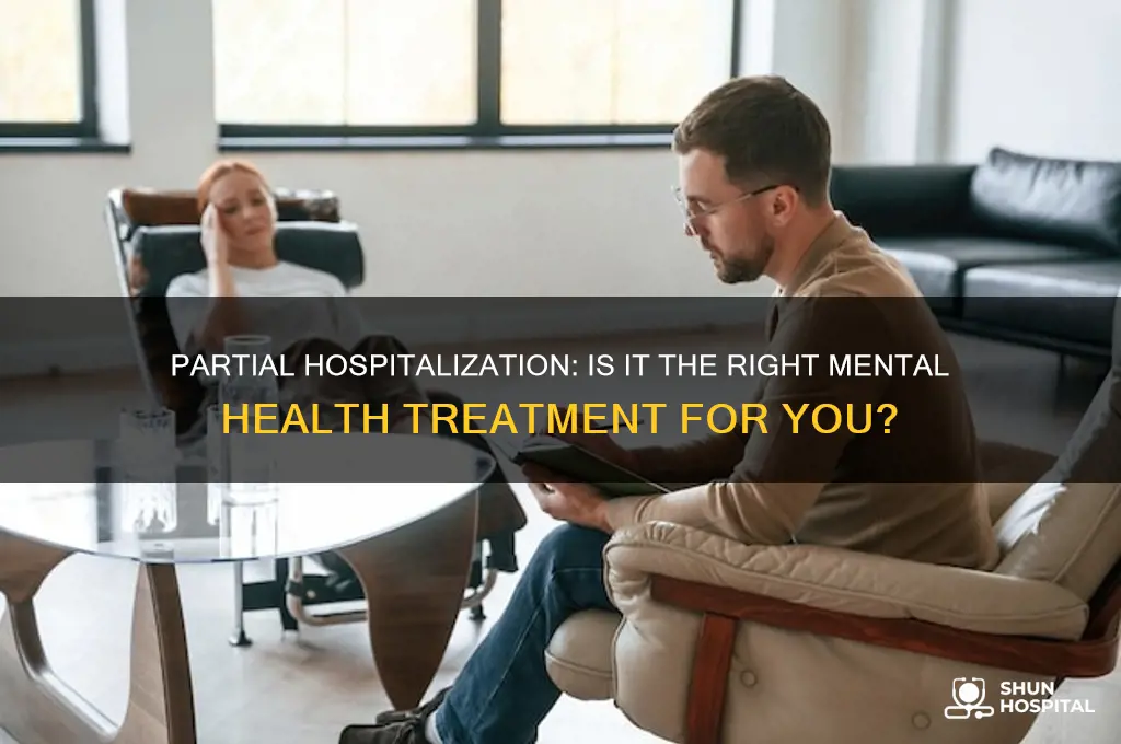 do i need partial hospitalization
