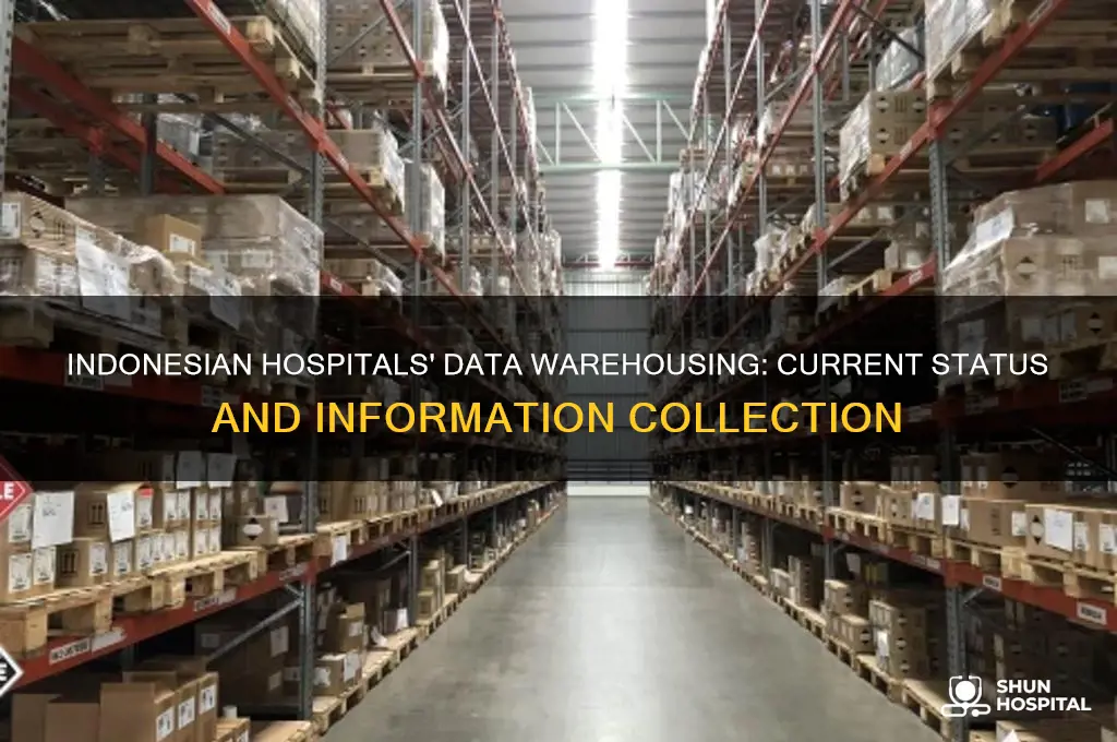 do indonesian hospitals have a data warehouse to collect information