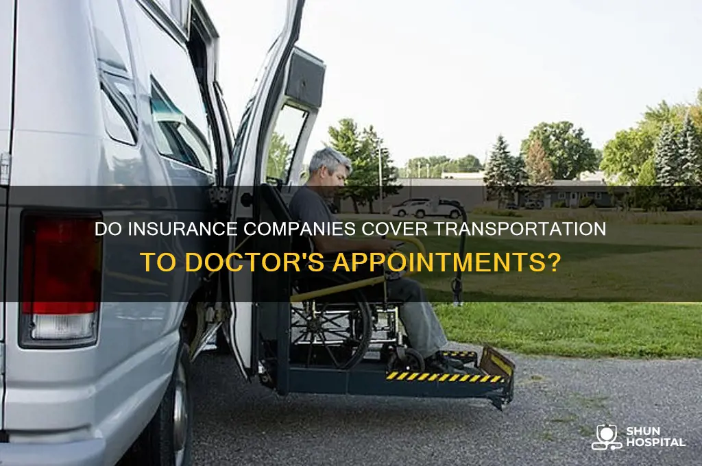 do insurance companies provide transportation to doctors hospitals etc