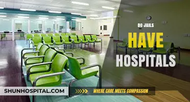 Do Jails Have Hospitals? Exploring Inmate Healthcare Facilities and Services