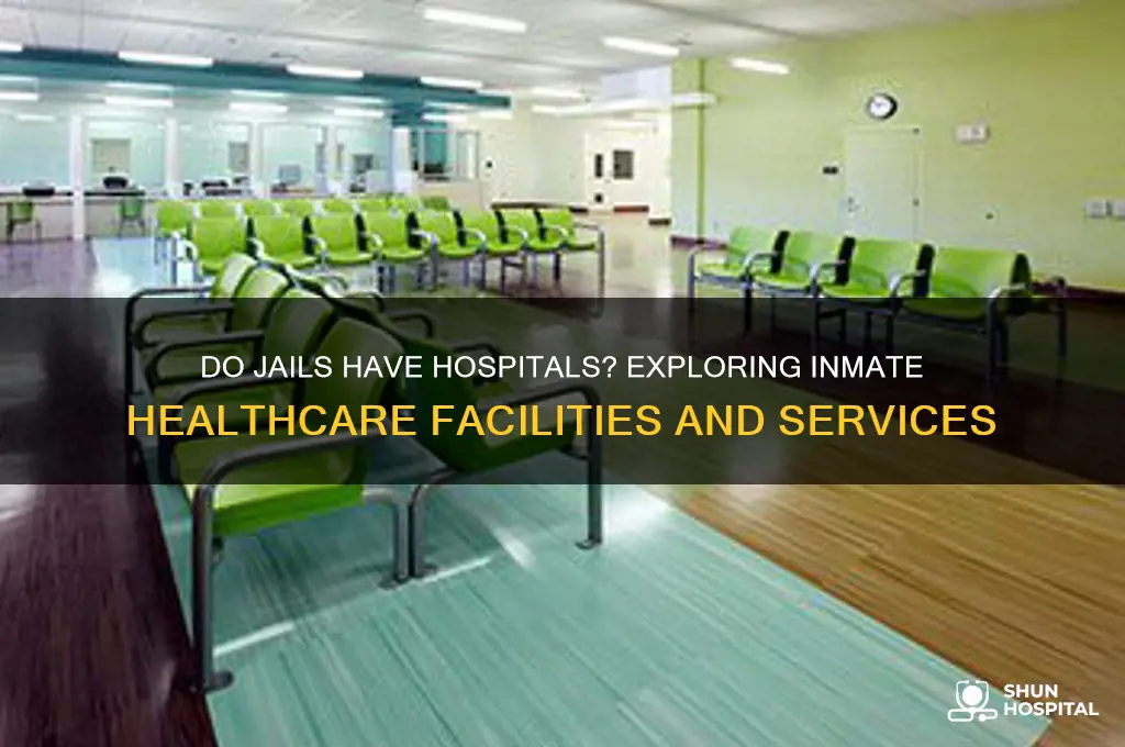 do jails have hospitals