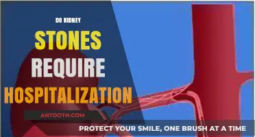 Kidney Stones: When to Seek Hospitalization and Treatment Options