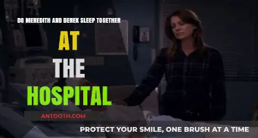 Meredith and Derek's Hospital Romance: Did They Share a Bed?