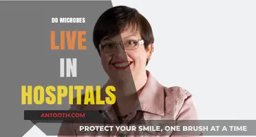 Microbes in Hospitals: Unseen Residents and Their Impact on Health