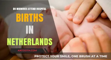 Midwives in the Netherlands: Hospital Births and Care