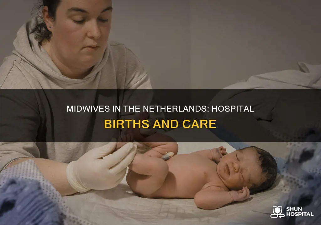 do midwives attend hospital births in netherlands