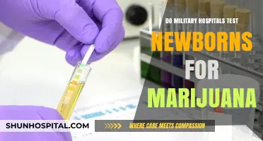 Marijuana Testing for Newborns in Military Hospitals