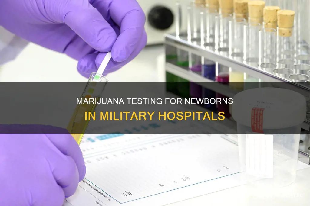 do military hospitals test newborns for marijuana