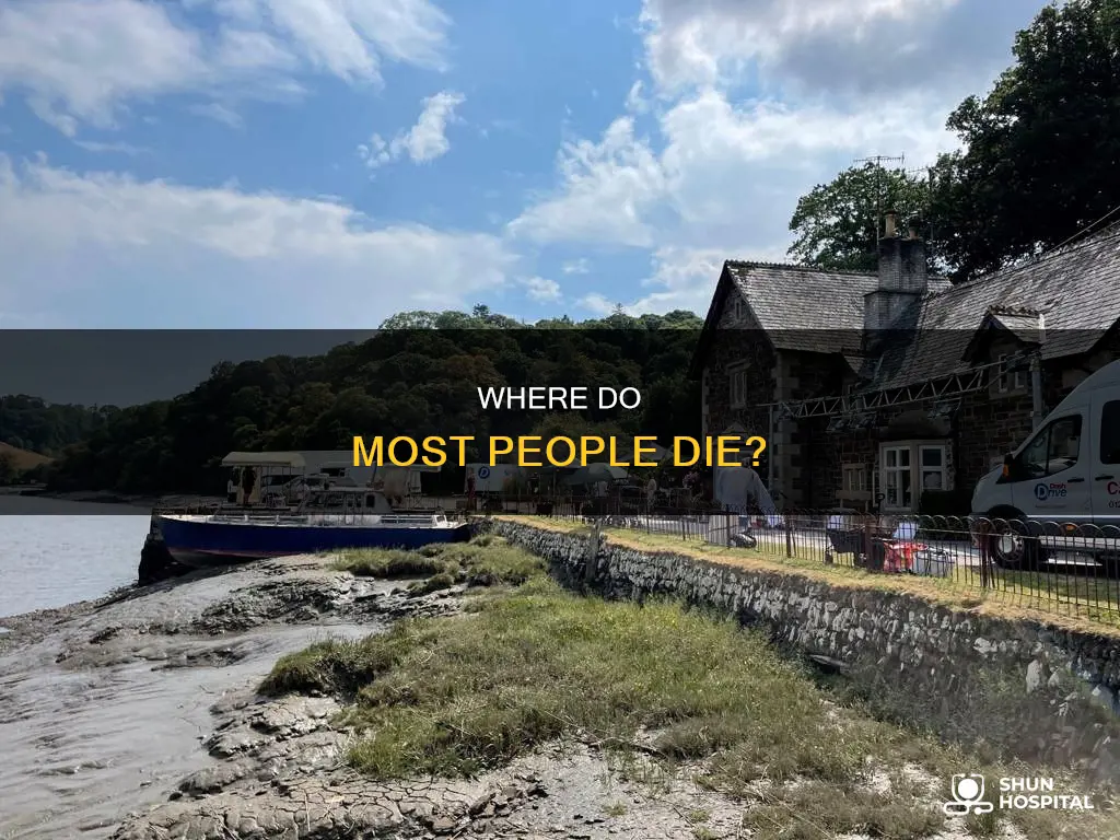 do most people die in a hospital