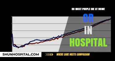 Where Do Most People Die: Home or Hospital?