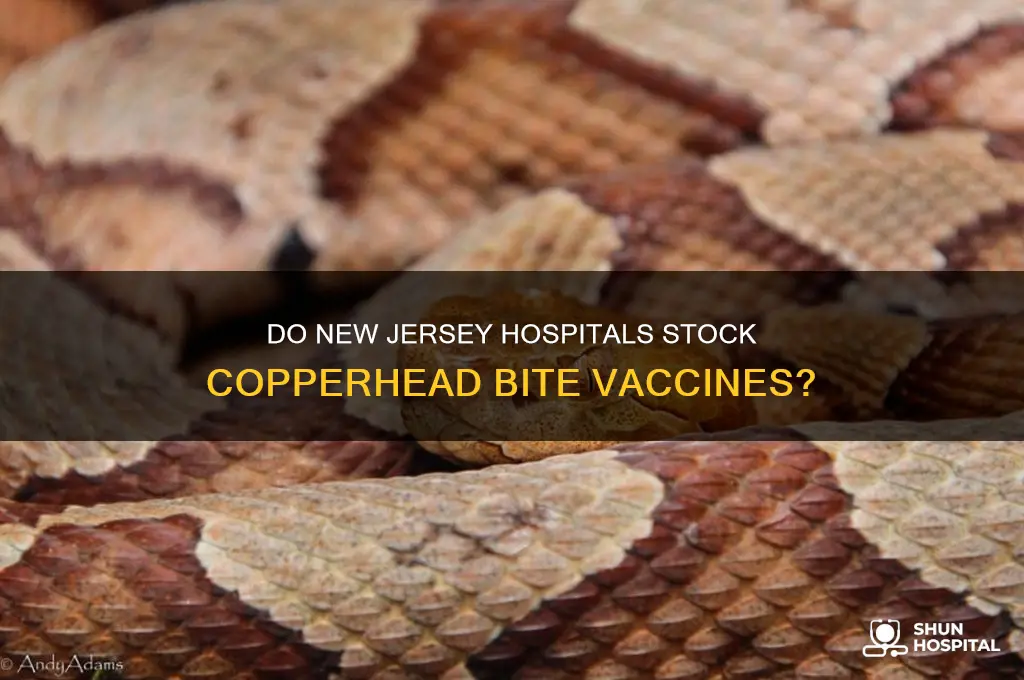 do new jersey hospitals carry vaccine for the copperhead bite