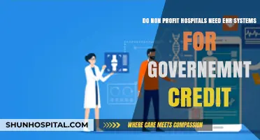 Non-Profit Hospitals: EHR Systems for Government Credit Compliance