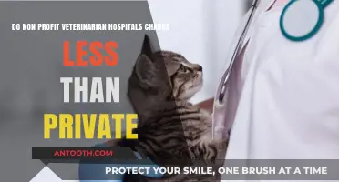 Non-Profit vs. Private Vet Hospitals: Comparing Costs for Pet Care
