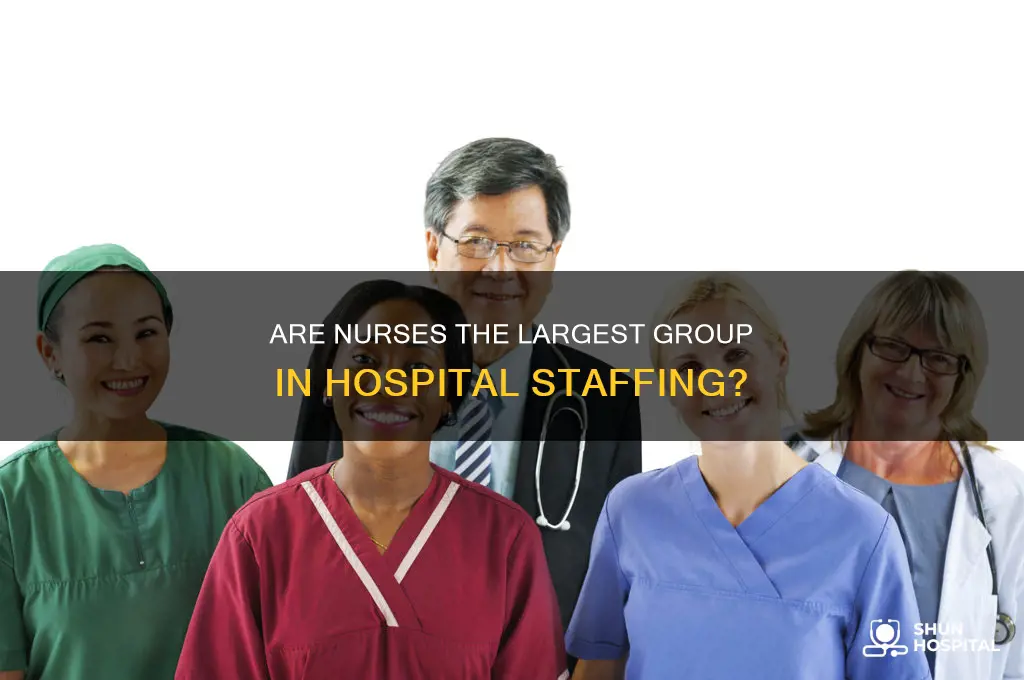do nurses make up the majority of hospital staff
