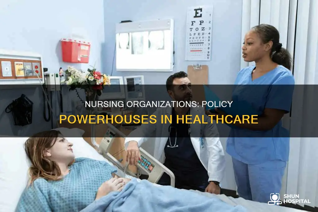 do nursing organization make policies for hospital
