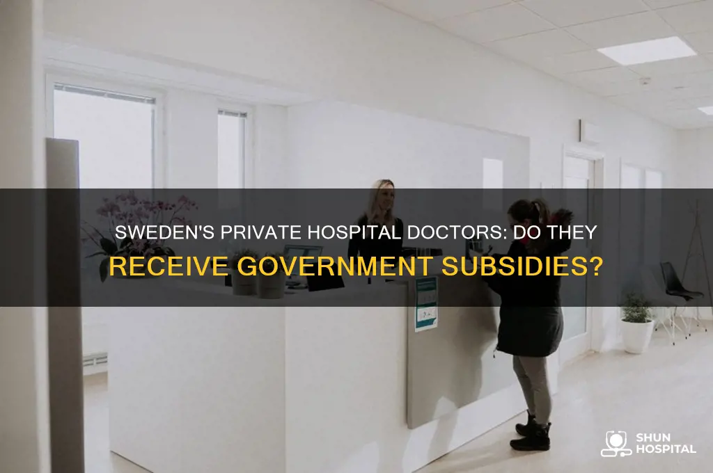 do private hospitals doctors in sweden reeive a government subsidy
