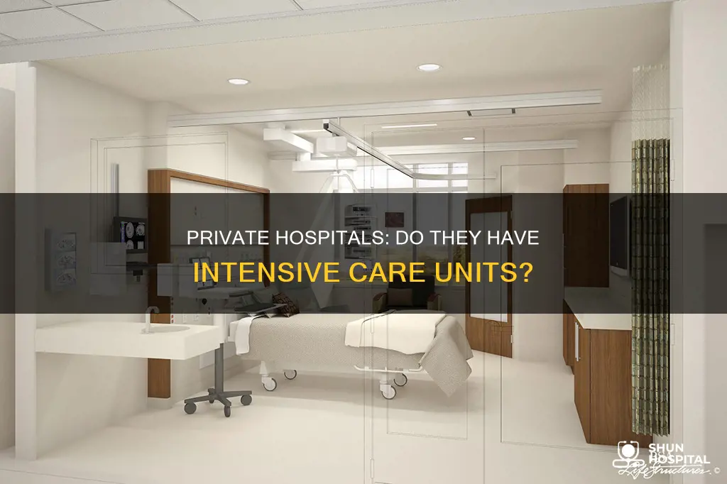 do private hospitals have intensive care units